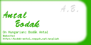 antal bodak business card